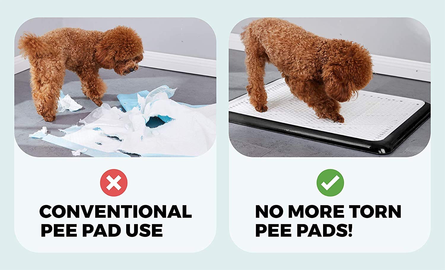 Qpets 19.7x14.2inch Pee Pads for Dogs, Dog Potty Tray, Puppy Pee Pad Holder, Plastic Dog Pet Potty Indoor Training Toilet for Small Dogs, Keep Paws Dry and Floor Clean (Blue) Qpets 19.7x14.2inch Pee Pads for Dogs, Dog Potty Tray, Puppy Pee Pad Holder, Plastic Dog Pet Potty Indoor Training Toilet for Small Dogs, Keep Paws Dry and Floor Clean (Blue)